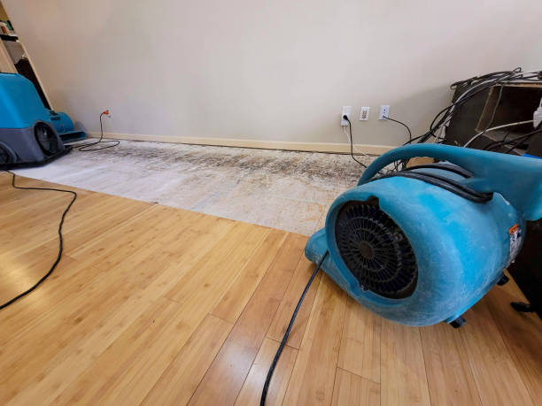 Professional Emergency Water Damage technician working in Hurricane, WV
